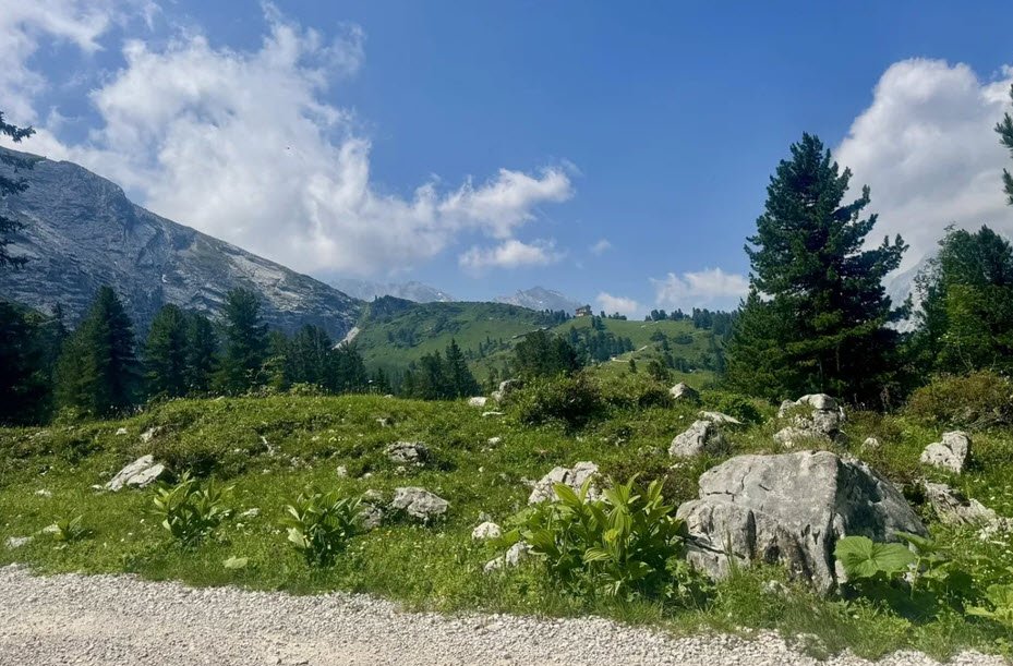 Alpengarten auf dem Schachen, Germany